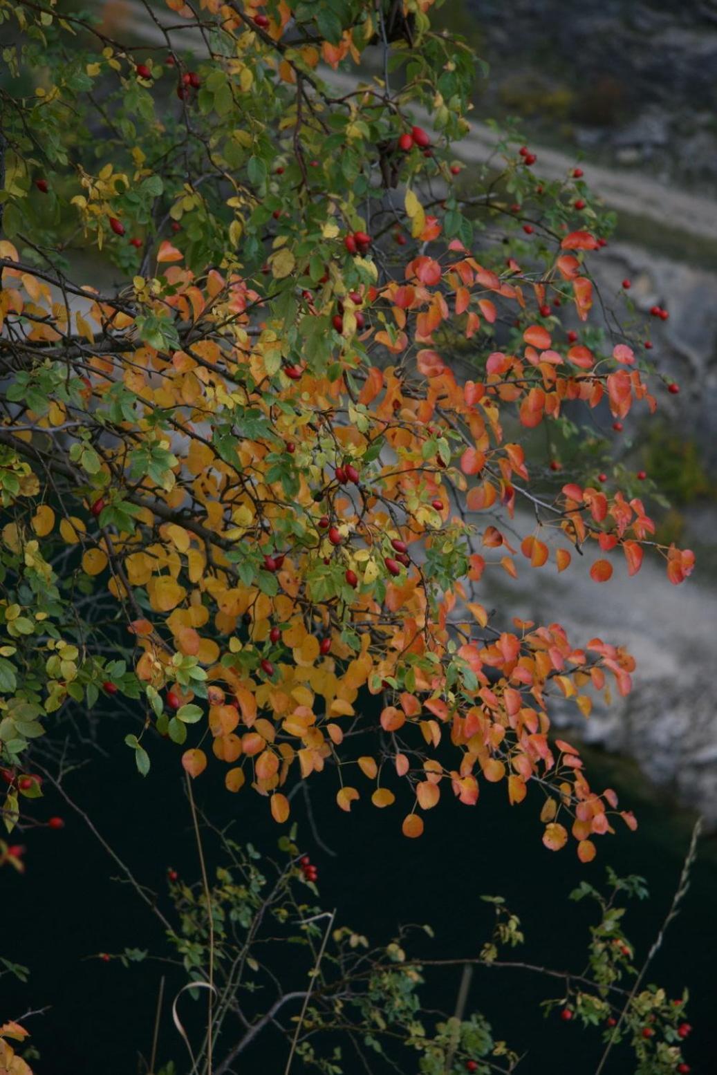 Penzion Speller Vysoký Újezd エクステリア 写真