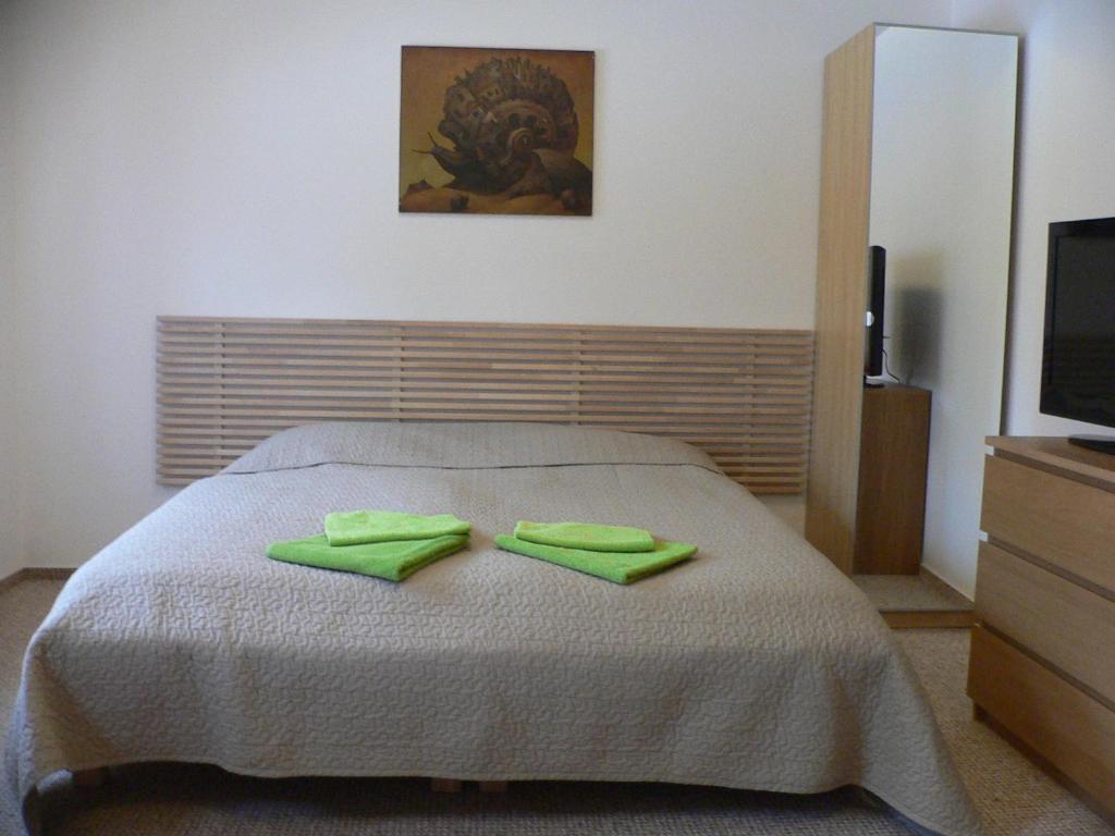 Penzion Speller Vysoký Újezd 部屋 写真